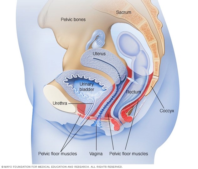 Incontinence Mallanets Tech Textile